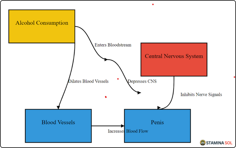 Does Alcohol Cause Premature Ejaculation And Erectile Dysfunction? 2 alc8