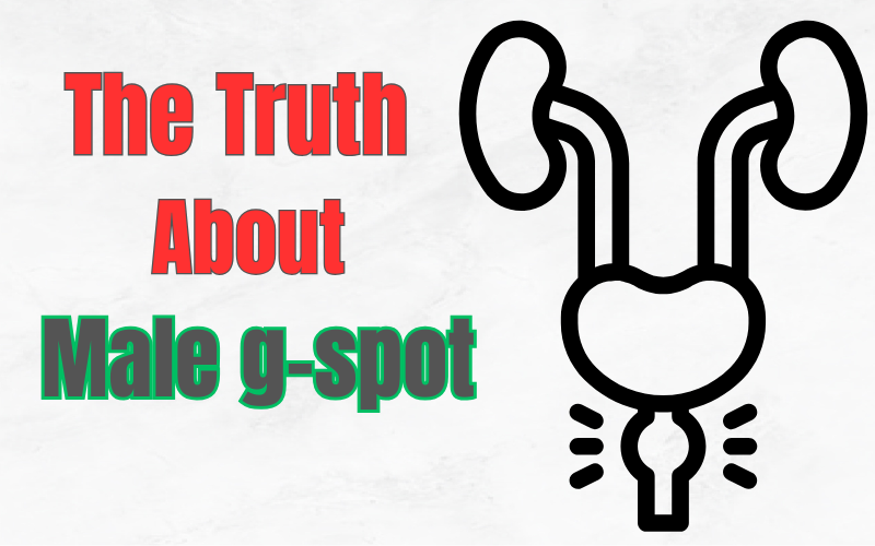 MALE G-SPOT